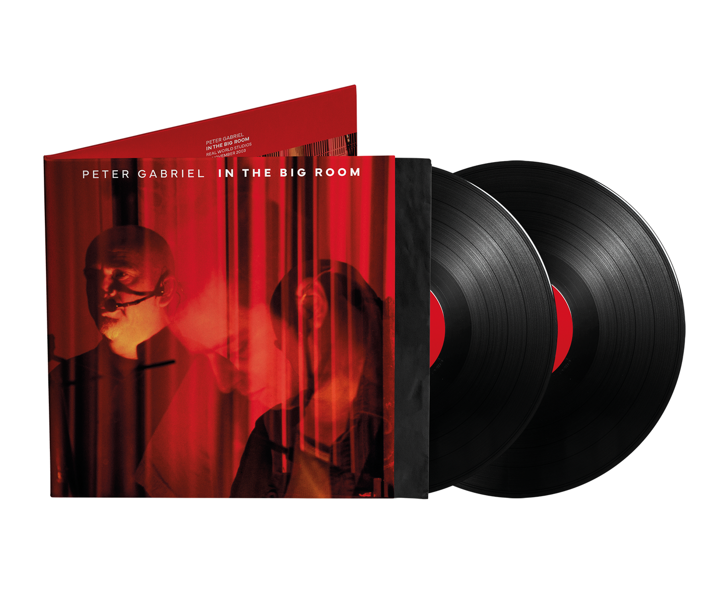 In The Big Room - PREORDER