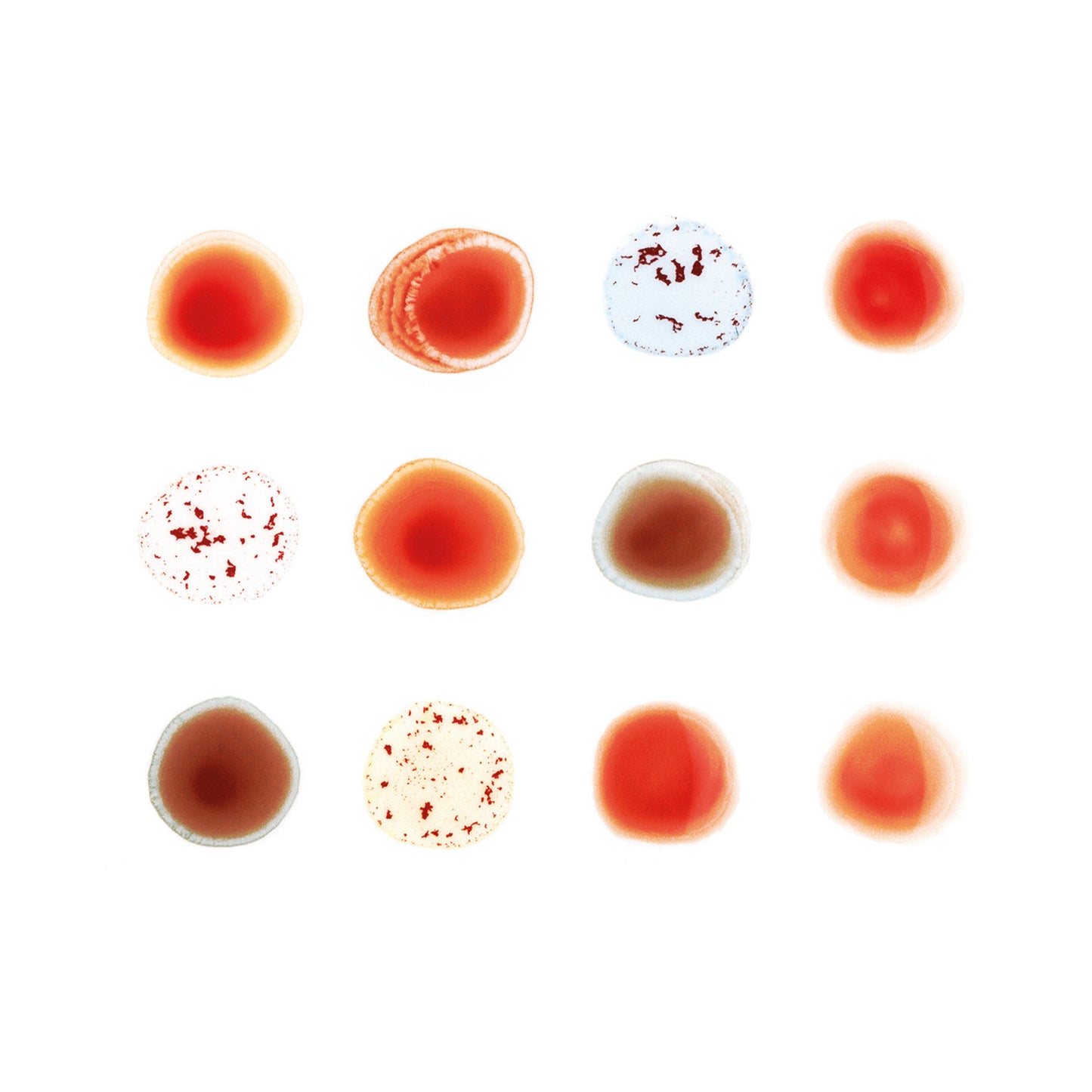 Scratch My Back/And I'll Scratch Yours