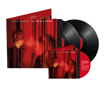 In The Big Room - PREORDER