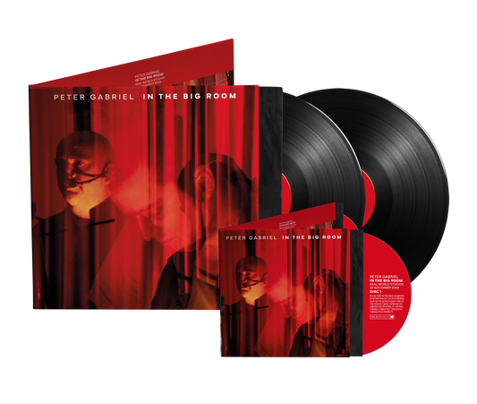 In The Big Room - PREORDER