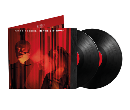 In The Big Room - PREORDER