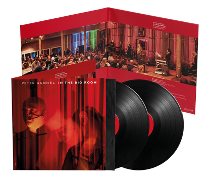 In The Big Room - PREORDER