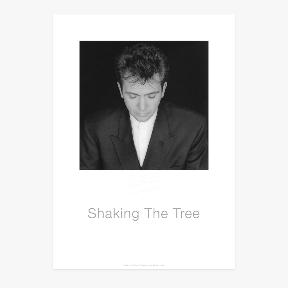 Shaking The Tree - Poster