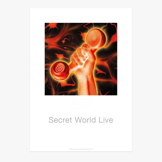 Secret World Live - Poster