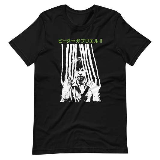 Peter Gabriel 2 - Japanese Type (White print)